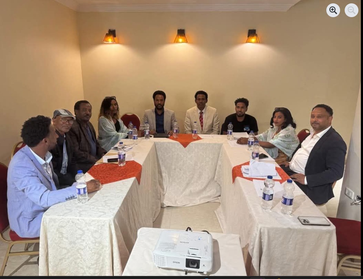 Unity in the Shadow of Division: The Addis Ababa June 8 Declaration, and the Future of Brigade N’Hamedu (BNH)