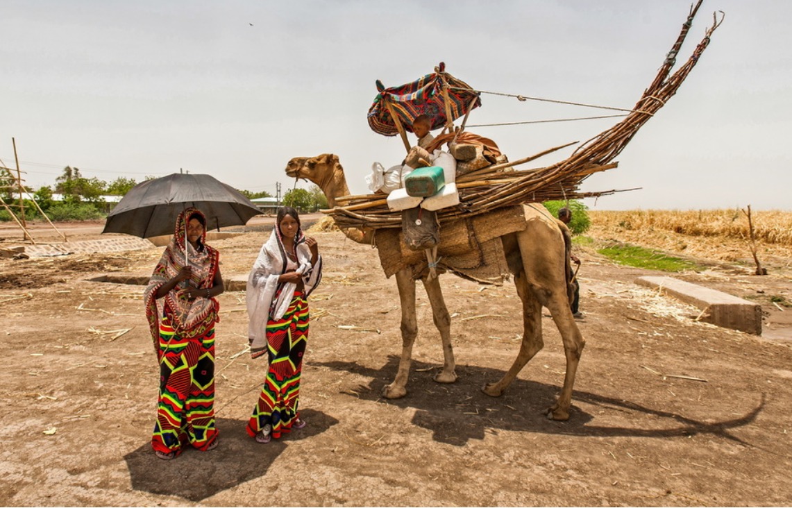 دنكاليا وإريتريا والنضال من أجل الوحدة الديمقراطية
