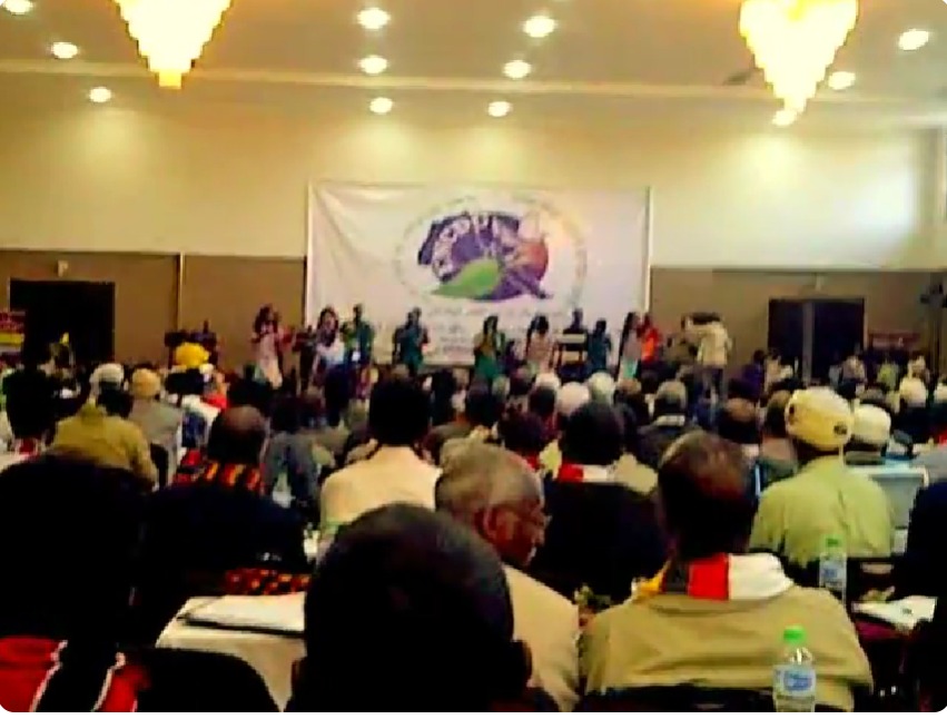 المجلس الوطني الإريتري للتغيير الديمقراطي (ENCDC) عند مفترق طرق: سيناريوهات وخيارات استراتيجية