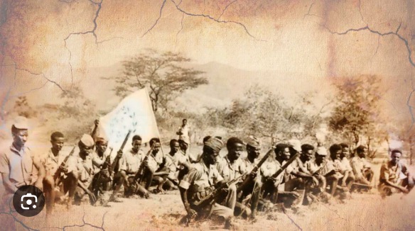 ዳግመ ኣቀማምጣ ኢራንን ሱዳንን፡ ሓድሽ ስርዓት ኣብ ቀይሕ ባሕርን ኣብ ዲሞክራስያዊ ቃልሲ ኤርትራ ዘለዎ ጽልዋን።